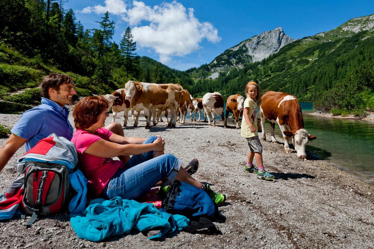 Hotel Ausseerland Bad Mitterndorf Eksteriør billede